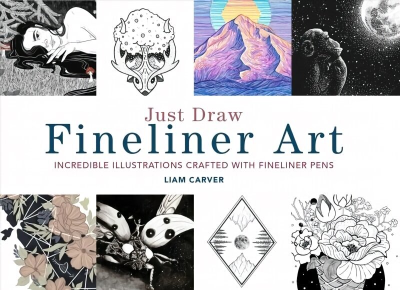 Just Draw Fineliner Art: Incredible Illustrations Crafted With Fineliner Pens цена и информация | Mākslas grāmatas | 220.lv