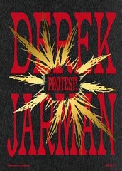 Derek Jarman: Protest! цена и информация | Книги об искусстве | 220.lv