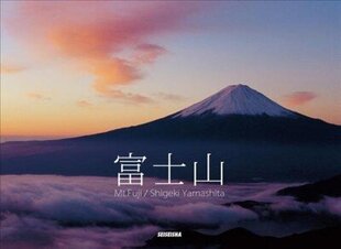 Mt.Fuji: Panorama цена и информация | Книги об искусстве | 220.lv