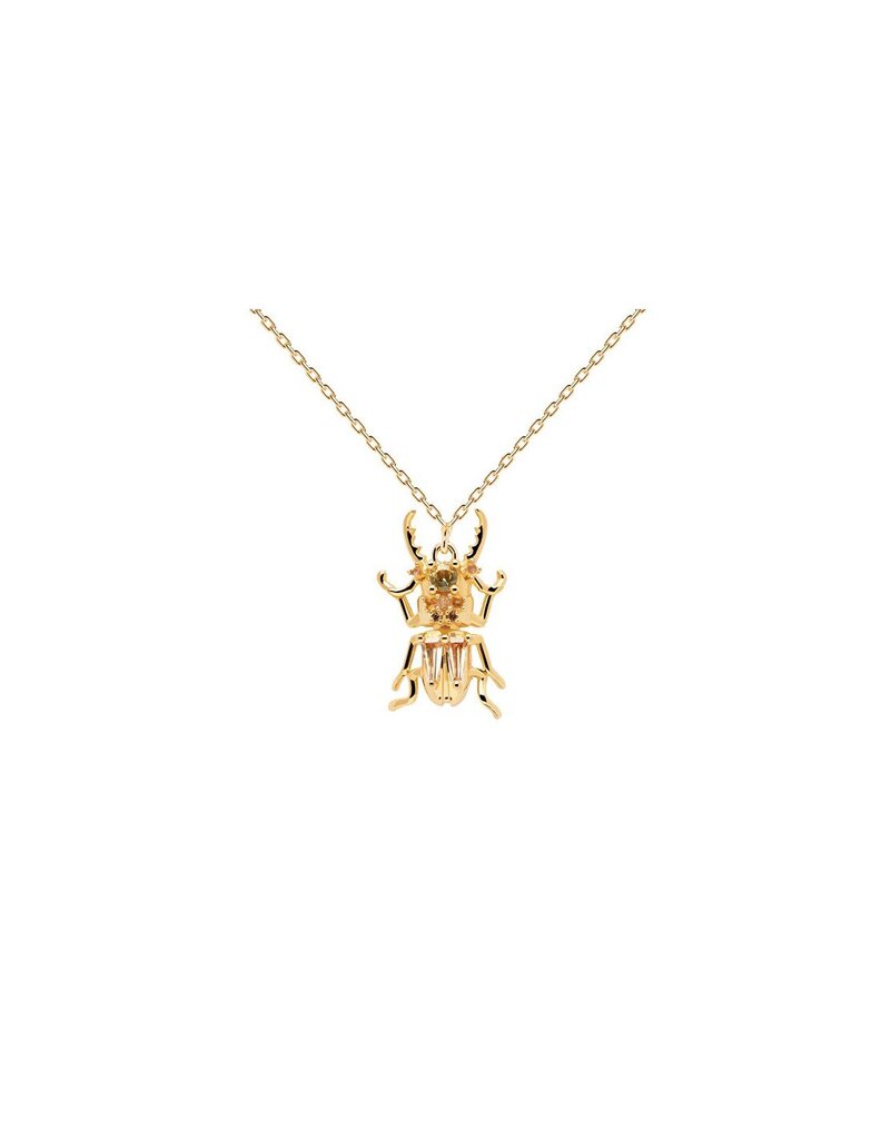 PDPAOLA Oriģināla zeltīta kaklarota COURAGE Beetle Amulet CO01-253-U (ķēde, kulons) cena un informācija | Kaklarotas | 220.lv