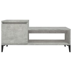 Kafijas galdiņš, betona pelēks, 100x50x45cm, apstrādāta koksne cena un informācija | Žurnālgaldiņi | 220.lv
