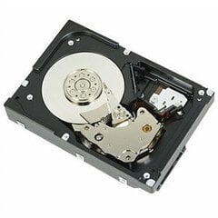 Cietais disks Dell 400-AUST 2 TB 3.5" cena un informācija | Iekšējie cietie diski (HDD, SSD, Hybrid) | 220.lv