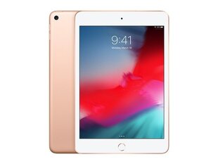 iPad Mini 5 7.9" 256GB WiFi Gold (atjaunots, stāvoklis A) cena un informācija | Planšetdatori | 220.lv