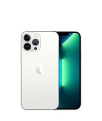 iPhone 13 Pro 1TB Silver (atjaunots, stāvoklis A) cena un informācija | Mobilie telefoni | 220.lv