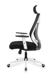Офисное кресло Mark Adler Manager 3.9 цена и информация | Офисные кресла | 220.lv