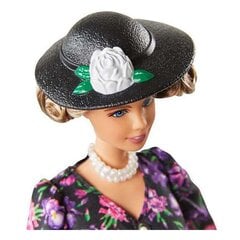 Mattel - Eleanor Roosevelt lelle цена и информация | Игрушки для девочек | 220.lv