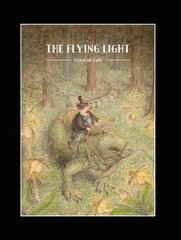 Flying Light цена и информация | Книги для самых маленьких | 220.lv