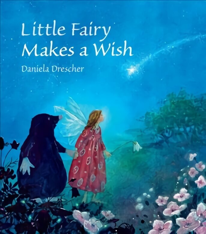 Little Fairy Makes a Wish цена и информация | Grāmatas mazuļiem | 220.lv