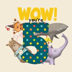 WOW! You're Five birthday book цена и информация | Книги для малышей | 220.lv