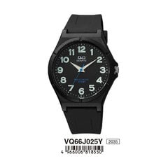 Мужские часы Q&Q VQ66J025Y (Ø 40 мм) цена и информация | Мужские часы | 220.lv