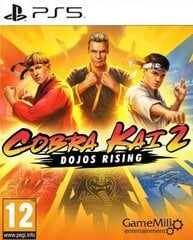 Видеоигры PlayStation 5 Just For Games Cobra Kai 2: Dojos Rising цена и информация | Компьютерные игры | 220.lv