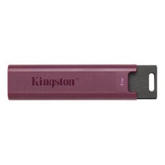 USВ-флешь память Kingston DTMAXA/1TB цена и информация | USB накопители | 220.lv