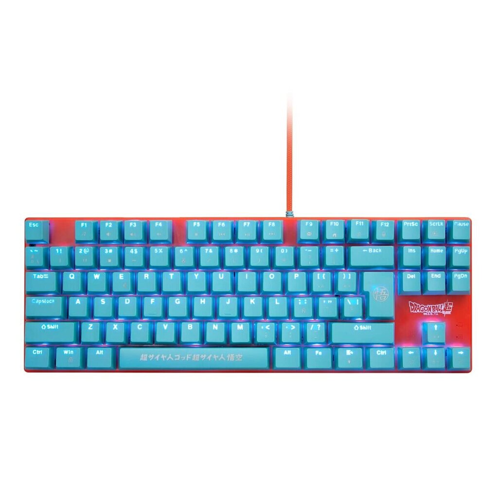 Fr-Tec DBPCKEYGO cena un informācija | Klaviatūras | 220.lv