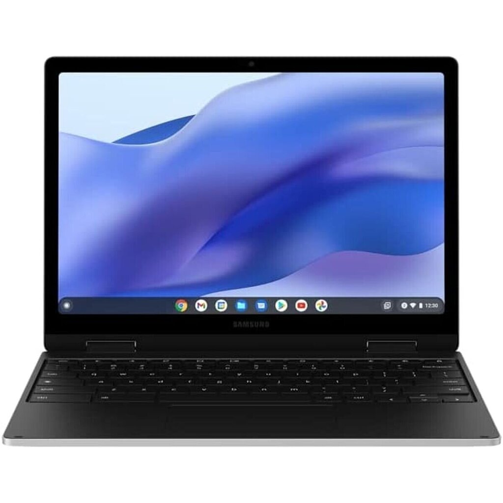 Samsung XE520QEA-KB1ES Intel Celeron N4500 64 GB SSD 4 GB RAM 12,4" цена и информация | Portatīvie datori | 220.lv