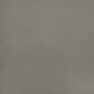 Gultas ramis ar galvgali, gaiši pelēks, 100x200 cm, samts цена и информация | Gultas | 220.lv