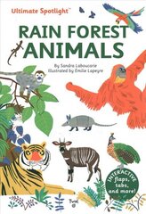 Ultimate Spotlight: Rain Forest Animals cena un informācija | Grāmatas mazuļiem | 220.lv