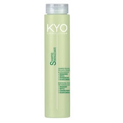 Freelimix Energy System KYO (Stiprinošs šampūns plāniem matiem) 250 ml cena un informācija | Šampūni | 220.lv