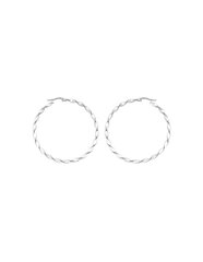 Стальные круглые серьги Troli, 2-5 см  цена и информация | Серьги | 220.lv