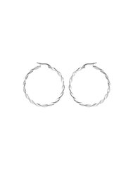Стальные круглые серьги Troli, 2-5 см  цена и информация | Серьги | 220.lv