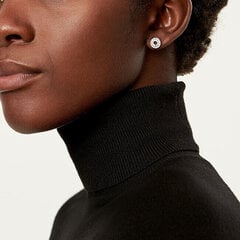 Tiffany & Co. Роскошные серебряные круглые серьги 19710424 + оригинальная упаковка цена и информация | Серьги | 220.lv