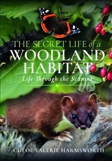 Secret Life of a Woodland Habitat: Life Through the Seasons cena un informācija | Grāmatas par veselīgu dzīvesveidu un uzturu | 220.lv
