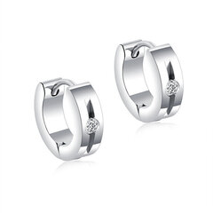 Элегантные стальные серьги-кольца Troli VSE010S-PET цена и информация | Серьги | 220.lv