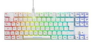 Deltaco Gaming GAM-111-W-UK, RGB EN цена и информация | Клавиатуры | 220.lv