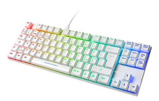 Deltaco Gaming GAM-111-W-UK RGB EN cena un informācija | Klaviatūras | 220.lv