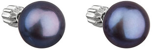 Серебряные серьги с натуральным жемчугом Evolution Group Павона 21004.3 павлин цена и информация | Серьги | 220.lv