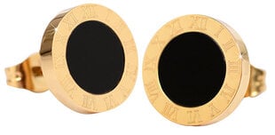 Серьги из плакированной стали с черным центром Troli KE-015 цена и информация | Серьги | 220.lv