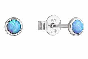 Серебряные серьги с голубыми синтетическими опалами Evolution Group 11338.3 цена и информация | Серьги | 220.lv