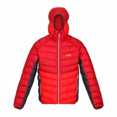 Мужская спортивная куртка Regatta Harrock Красный цена и информация | Мужские куртки | 220.lv