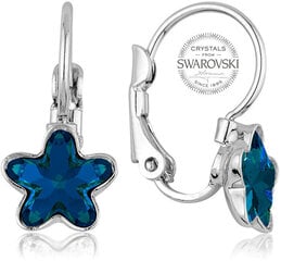 Levien Серьги для девочки с голубым кристаллом STARBLOOM цена и информация | Серьги | 220.lv