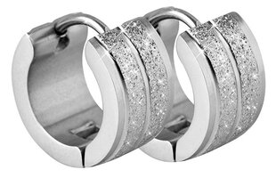 Блестящие стальные серьги-кольца Troli цена и информация | Серьги | 220.lv