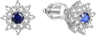 Серебряные серьги с мерцающими цветами Beneto AGUP1443S цена и информация | Серьги | 220.lv