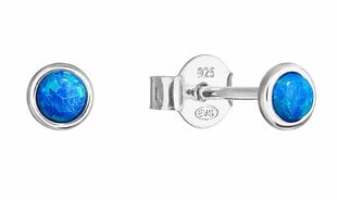Серебряные серьги с голубыми синтетическими опалами Evolution Group 11338.3 цена и информация | Серьги | 220.lv