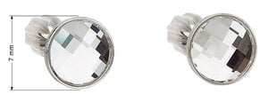 Серебряные серьги Evolution Group Swarovski 31137.1 цена и информация | Серьги | 220.lv