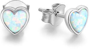 Серебряные серьги сердце с опалесцирующими кристаллами Beneto AGUP1185 цена и информация | Серьги | 220.lv