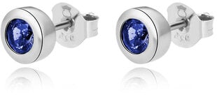 Нежные серебряные серьги-гвоздики с голубыми цирконами Beneto AGUP2259-BLUE цена и информация | Серьги | 220.lv