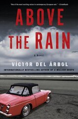 Above The Rain: A Novel cena un informācija | Fantāzija, fantastikas grāmatas | 220.lv