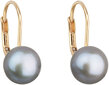 Evolution Group Zelta pērļu auskari ar īstām pērlēm Pavon 921009.3 pelēks cena un informācija | Auskari | 220.lv