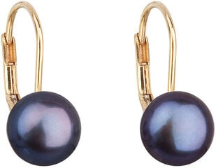 Evolution Group Zelta pērļu auskari ar pērļu pērlēm 921009.3 pāvs cena un informācija | Auskari | 220.lv