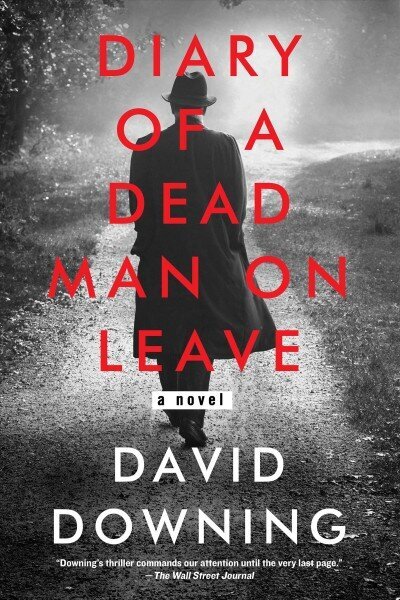 Diary Of A Dead Man On Leave cena un informācija | Fantāzija, fantastikas grāmatas | 220.lv