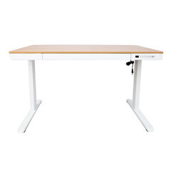 Письменный стол ERGO с 1 мотором 120x60xH72-121см, белый/дуб цена и информация | Компьютерные, письменные столы | 220.lv
