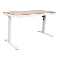 Письменный стол ERGO с 1 мотором 120x60xH72-121см, белый/дуб цена и информация | Компьютерные, письменные столы | 220.lv