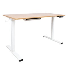 Письменный стол ERGO с 1 мотором 120x60xH73-121см, белый/дуб цена и информация | Компьютерные, письменные столы | 220.lv