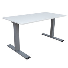 Письменный стол ERGO OPTIMAL с 2-мя моторами 160x80 см, серо-белый цена и информация | Компьютерные, письменные столы | 220.lv