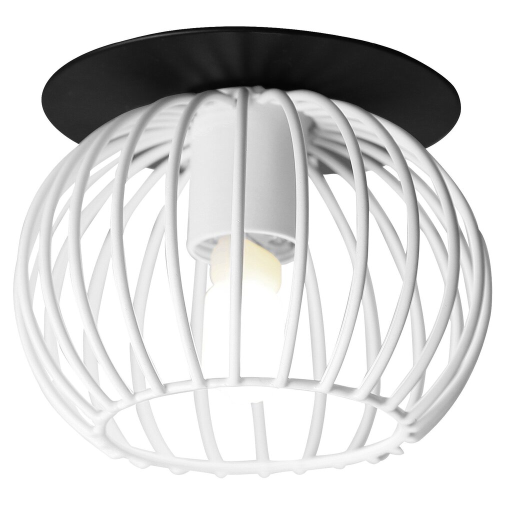 Griestu lampa Candellux 2284170 цена и информация | Griestu lampas | 220.lv
