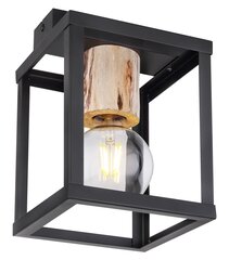 Candellux griestu lampa Retro цена и информация | Потолочные светильники | 220.lv