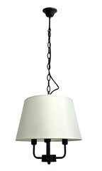 Подвесной светильник Candellux Pasteri 31-01351 цена и информация | Настенный/подвесной светильник Eye Spot 11 BL, чёрный | 220.lv